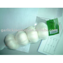 garlic